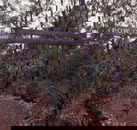 Marrinup Trail Dwellingup - Tourism TAS