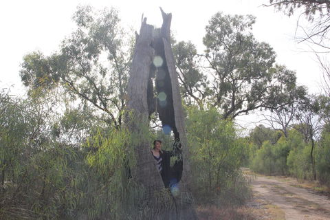 Martin Bend Wetland And Walking Trail - Tourism TAS 1