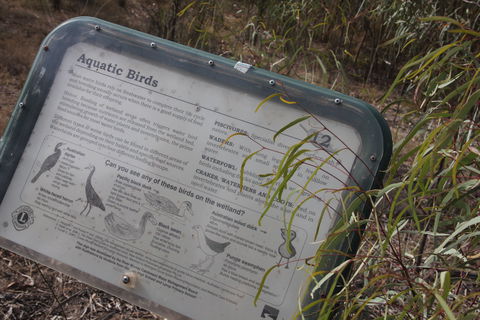 Martin Bend Wetland And Walking Trail - Tourism TAS 2