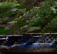 Millards Creek Walk and Cycleway - Hobart Tourism