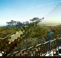 Monument Hill Reserve - Tourism TAS