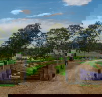 Moorebank Vineyard - Tourism TAS