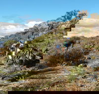 Mount Exmouth walking track - Tourism TAS