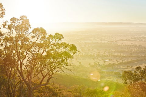 Mt Glenrowan Lookout Walk - Tourism TAS 1