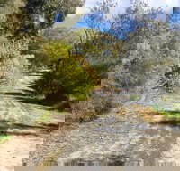 Naracoorte North Nature Park - Tourism TAS