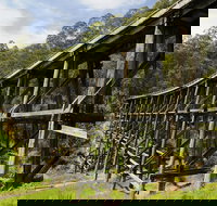 Noojee Trestle Bridge - Tourism TAS