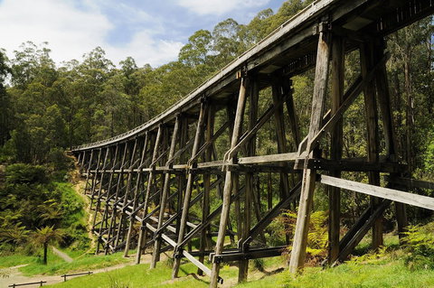 Noojee Trestle Bridge - Tourism TAS 0