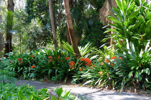 North Coast Regional Botanic Garden - Hobart Tourism 1
