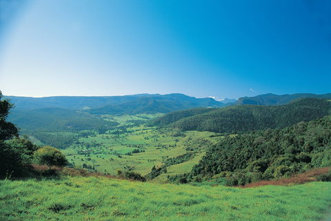 Numinbah Section, Springbrook National Park - Hobart Tourism 0