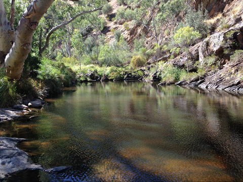 Onkaparinga River National Park - Hobart Tourism 2