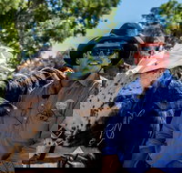 Outback Stockman's Show - Tourism TAS