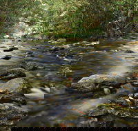 Plateau Circuit Loop Trail - Hobart Tourism