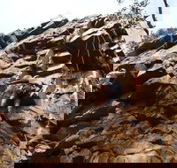 Rock Climbing in Morialta - Tourism TAS