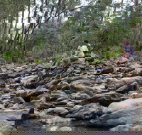 Rocksberg Park Heritage Reserve - Tourism TAS