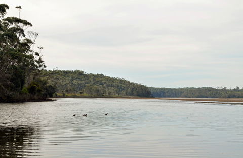 Tabourie Lake - Tourism TAS 0