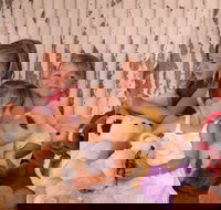 Tambo Teddies - Hobart Tourism