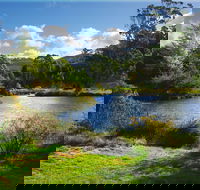 Tasmanian Arboretum Inc. - The - Hobart Tourism