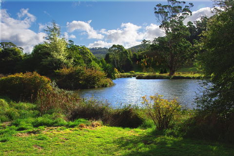 Tasmanian Arboretum Inc. - The - Hobart Tourism 0