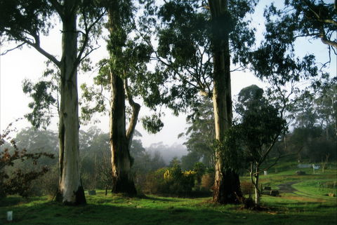 Tasmanian Arboretum Inc. - The - Hobart Tourism 1