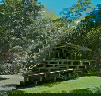 Terania Creek Picnic Area - Hobart Tourism