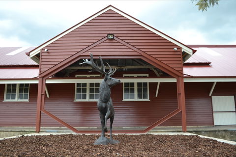 The Somerset Regional Art Gallery - The Condensery - Tourism TAS 1