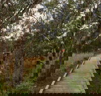 The Briars Park Walking Trails - Tourism TAS