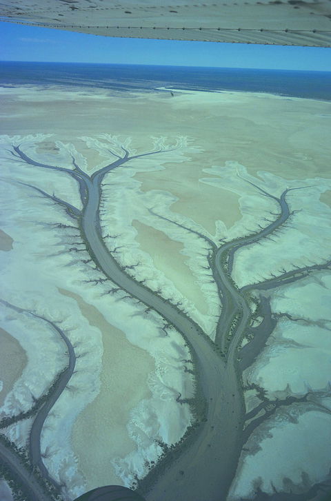 Tidal Flats - Tourism TAS 0