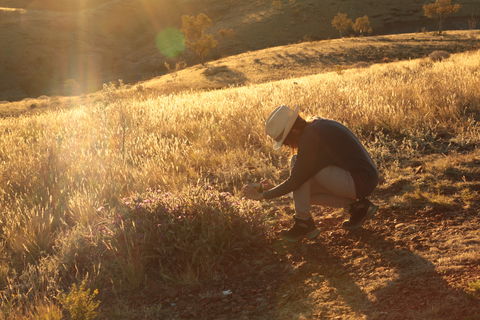 Tnorala (Gosse Bluff) Conservation Reserve - Hobart Tourism 1