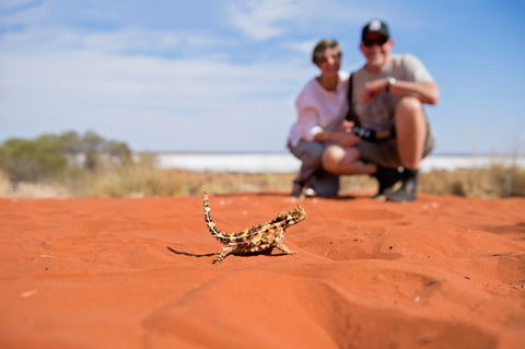 Tnorala (Gosse Bluff) Conservation Reserve - Hobart Tourism 2