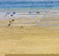 Towra Beach - Tourism TAS