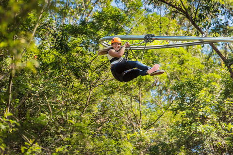TreeTop Crazy Rider - Tourism TAS 0