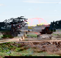 Turbo Buggy Ride - Tourism TAS