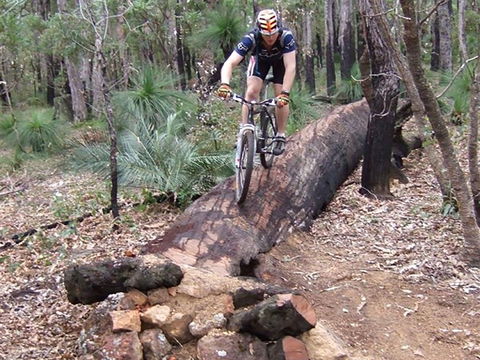 Turner Hill Mountain Bike Trail, Murray - Tourism TAS 0