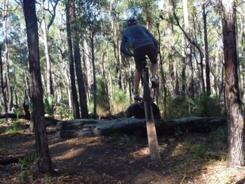 Turner Hill Mountain Bike Trail, Murray - Tourism TAS 1