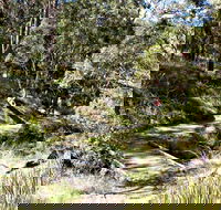 Wollomombi Walking Track - Hobart Tourism