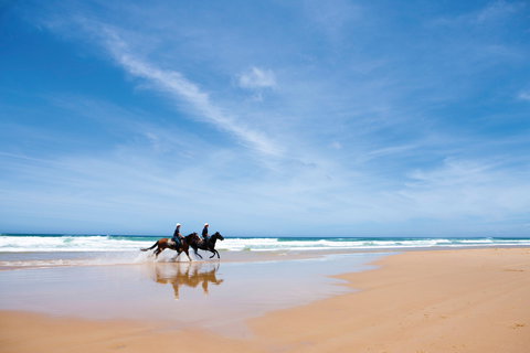 Worimi National Park - Tourism TAS 2