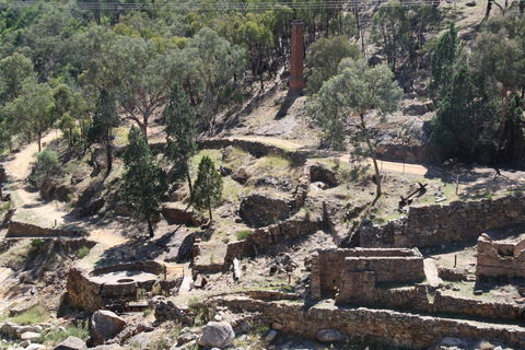 Adelong Falls Gold Mill Ruins - Tourism TAS 0