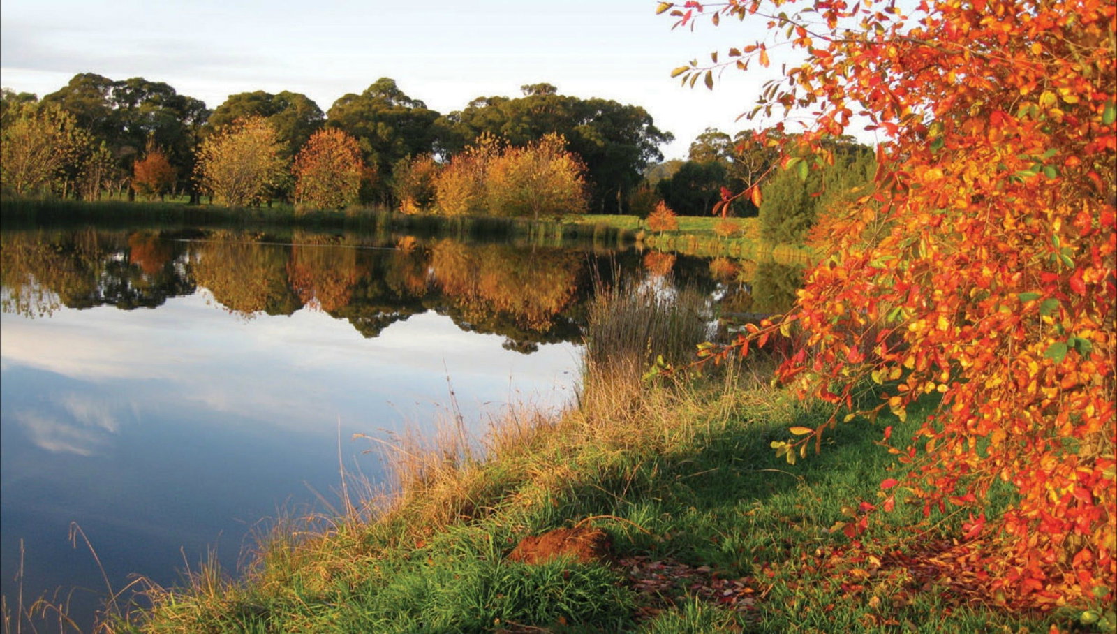 Alpine NSW Tourism TAS