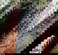 Ancient Empire Walk Valley of the Giants - Hobart Tourism