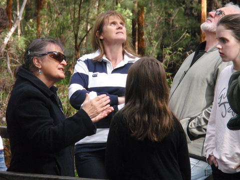 Ancient Empire Walk, Valley Of The Giants - Tourism TAS 1