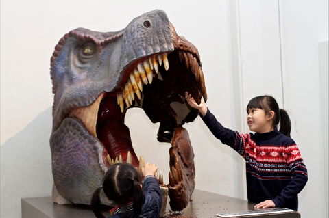 Australian Museum - Tourism TAS 0