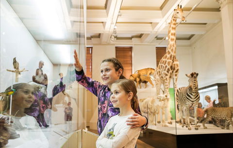 Australian Museum - Tourism TAS 1