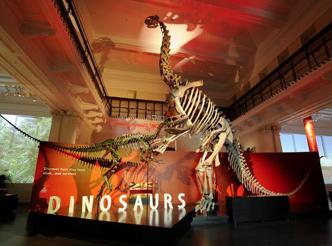 Australian Museum - Tourism TAS 2