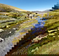 Australian Alps Walking Track - Hobart Tourism