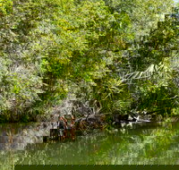 Berry Springs Nature Park - Tourism TAS