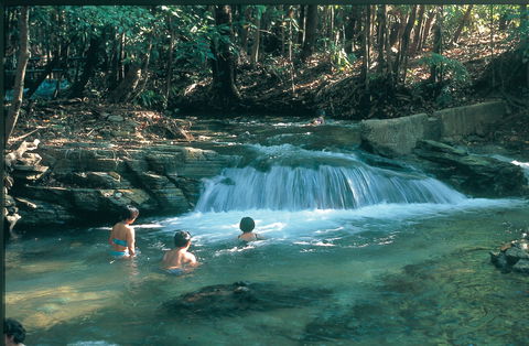 Berry Springs Nature Park - Hobart Tourism 2