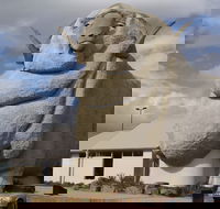 Big Merino - Hobart Tourism