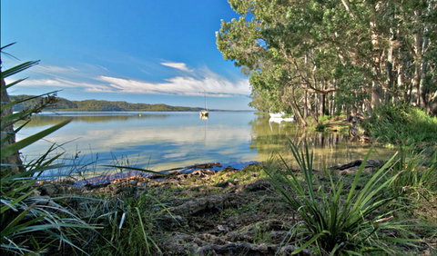Black Oaks Picnic Area - Hobart Tourism 0