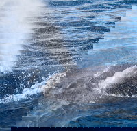 Bremer Bay Canyon - Tourism TAS