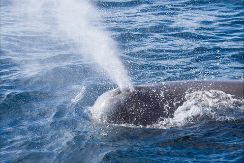 Bremer Bay Canyon - Tourism TAS 0